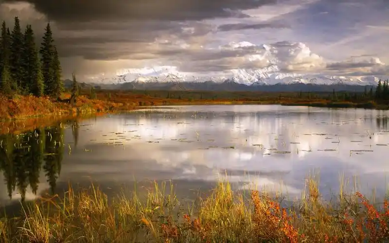 北京新能源车牌租（小米SU7汽车价格为例子）赁一年车牌多少钱，2025年最新费用大揭秘