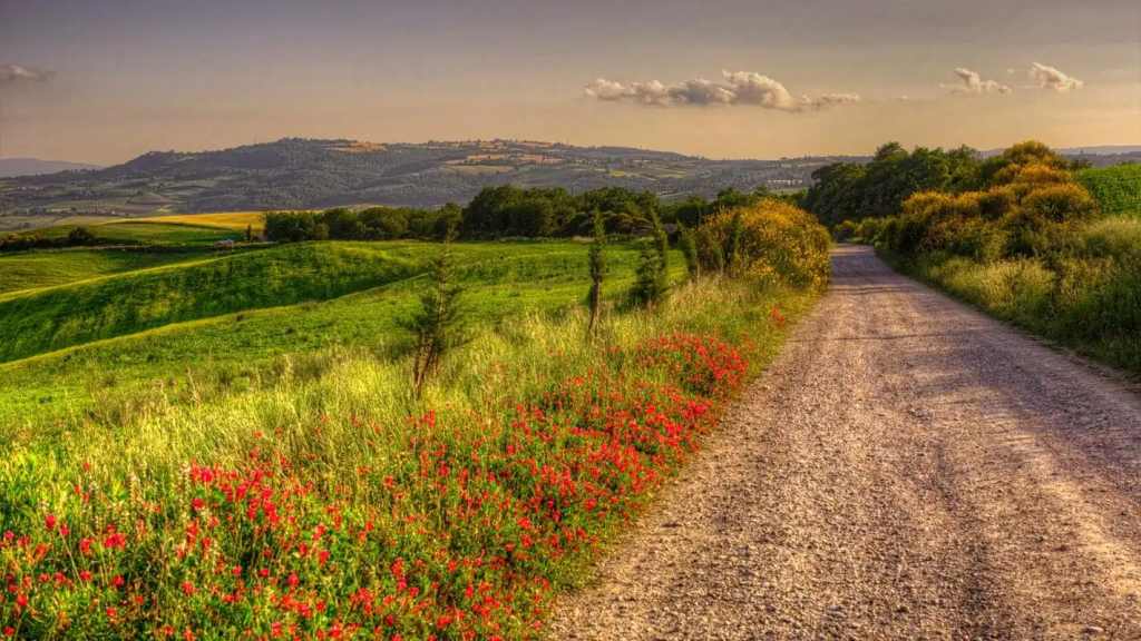 北京新能源指标出租一年多少钱（电动车车牌租赁）京牌租用三年、5年价格
