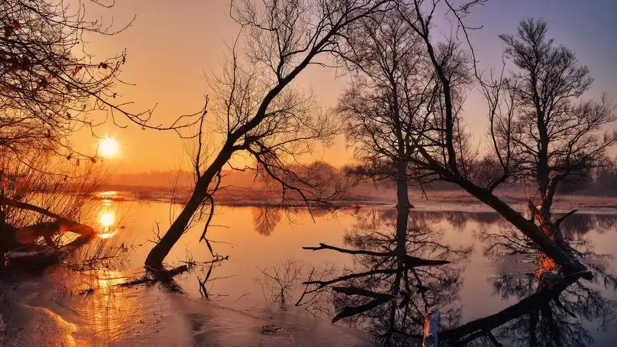 京牌出租流程、北京车牌怎么租、租赁京牌都需要什么手续