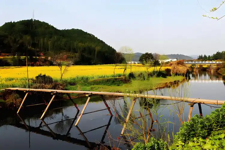 北京油标车牌出租价格表、京牌电车指标租赁1年多少钱？租北京一个牌照三年，五年租金多少？2025年1月24日