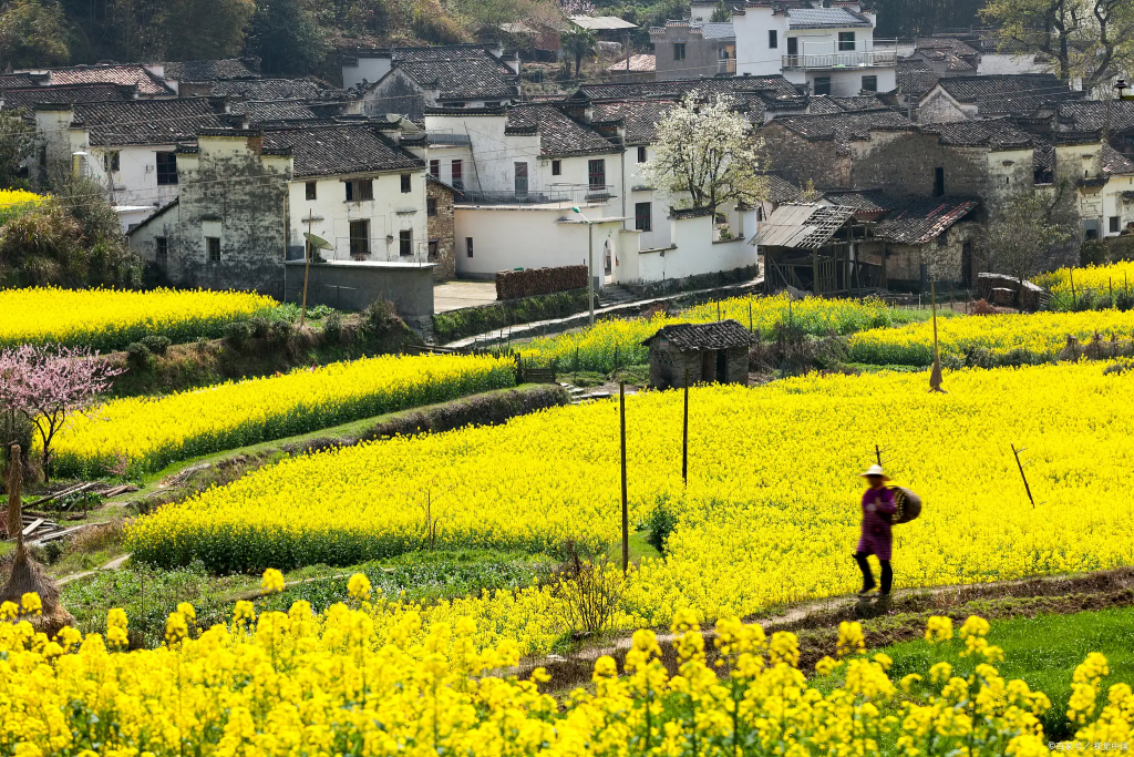 北京租牌照多少钱一个月、京牌绿牌出租一年价格、蓝牌租赁三年、五年费用多少