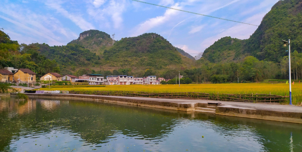 2025个人京牌出租价格、闲置车牌租赁一年、北京牌照车出租一个月多少钱