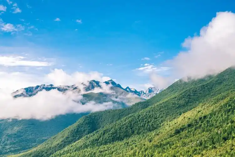 北京公司车牌靓号转让收购回收、京牌公户车指标出售中介代办公司