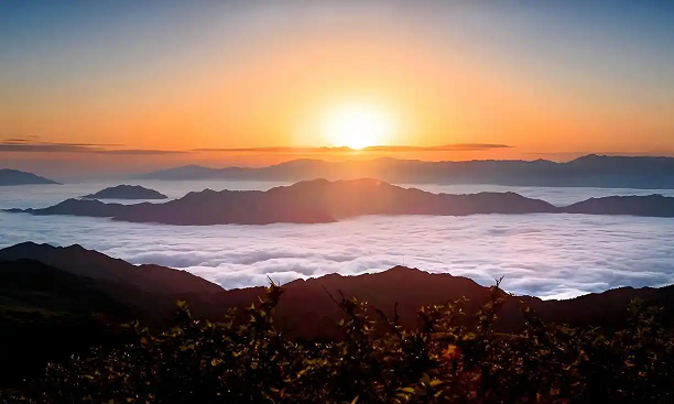 京牌租赁：隐藏在便利背后的风险与机遇