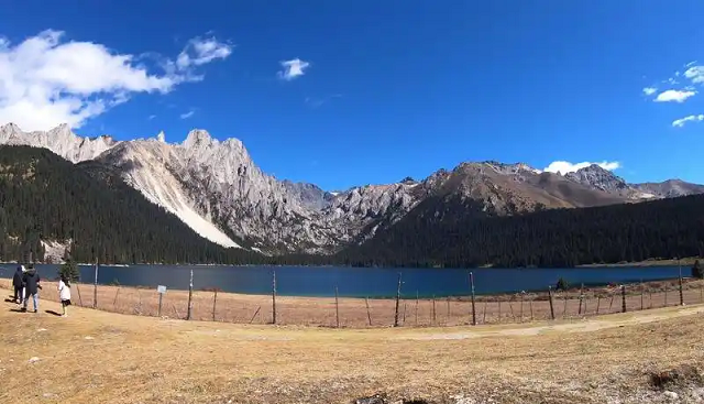   北京新能源车牌租赁价格曝光：一年与三年租赁费用大比拼！
