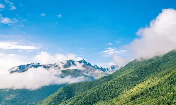 个人的新能源指标租赁价格几何?北京车牌指标出租代办中介