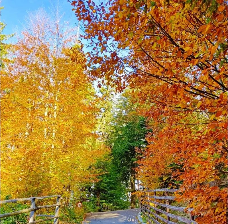闲置京牌一年费用，北京出租车牌多少钱?电车车牌租赁十年具体价格是多少