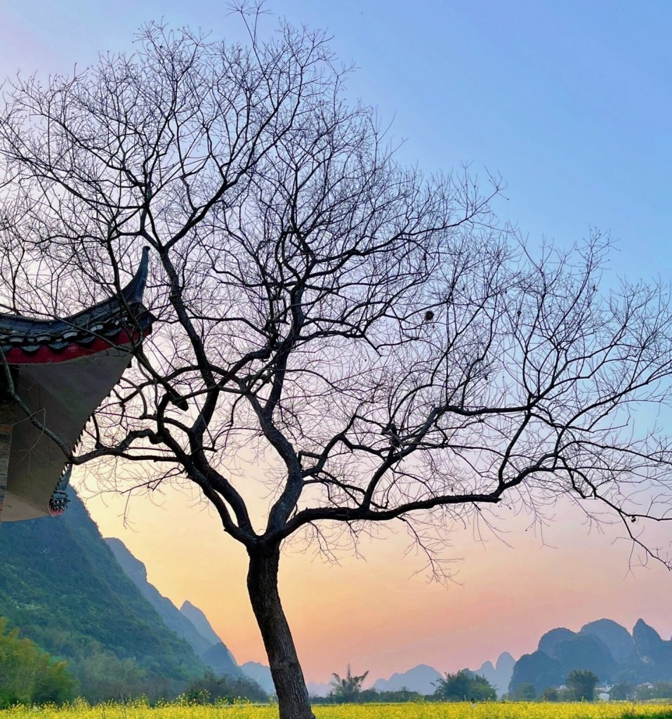 北京车牌出租一个月、闲置车牌出租一年、三年、10年费用多少钱