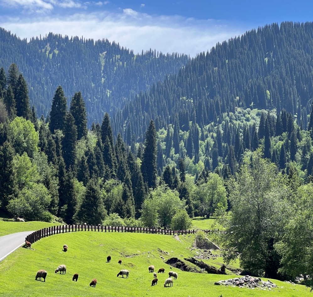 一个北京租牌照一个月多少钱，京牌出租1年、三年、五年租金多少