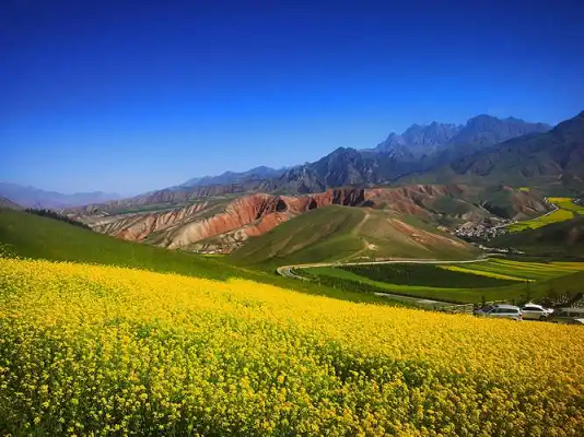 北京车牌租用流程，京牌出租五年多少钱，北京燃油牌租赁一年，三年租金多少
