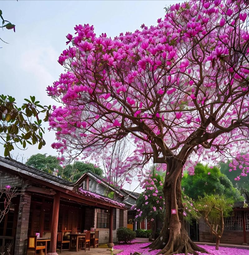 租用京牌五年价格多少？北京车牌出租三年，二年，一年多少钱