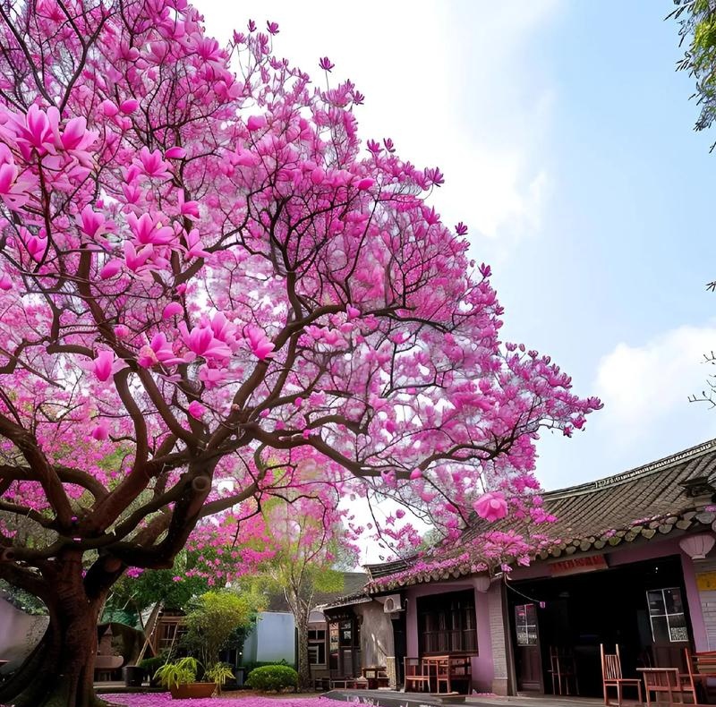 北京车牌照价格、京牌出租五年、十年多少钱(2025年3月最新报价）北京租车牌一年费用标准