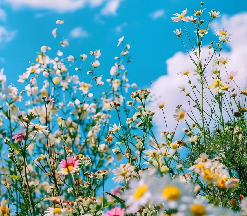 北京新能源车牌出租实时价格：租一年、三年、五年多少钱(北京新能源车牌租用一年费用火爆)