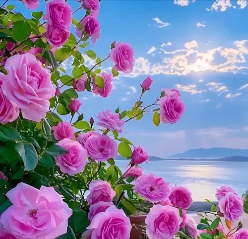 租京牌一年要交多少钱？北京车牌出租一年、三年、五年费用2025京牌价格分析